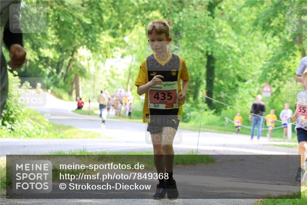 17.05.2025 - Störlauf Strokosch-Dieckow http://msf.ph/oto/7849368 17.05.2025 13:54:24 Laufen 2025, 435, 55 meine-sportfotos.de