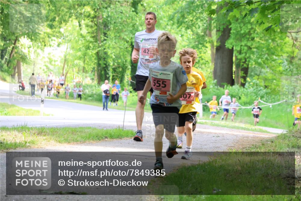 17.05.2025 - Störlauf Strokosch-Dieckow http://msf.ph/oto/7849385 17.05.2025 13:54:26 Laufen 42, 555, 07 meine-sportfotos.de