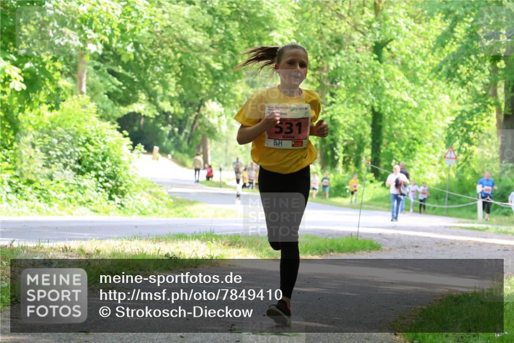 17.05.2025 - Störlauf Strokosch-Dieckow http://msf.ph/oto/7849410 17.05.2025 13:54:34 Laufen 531 meine-sportfotos.de