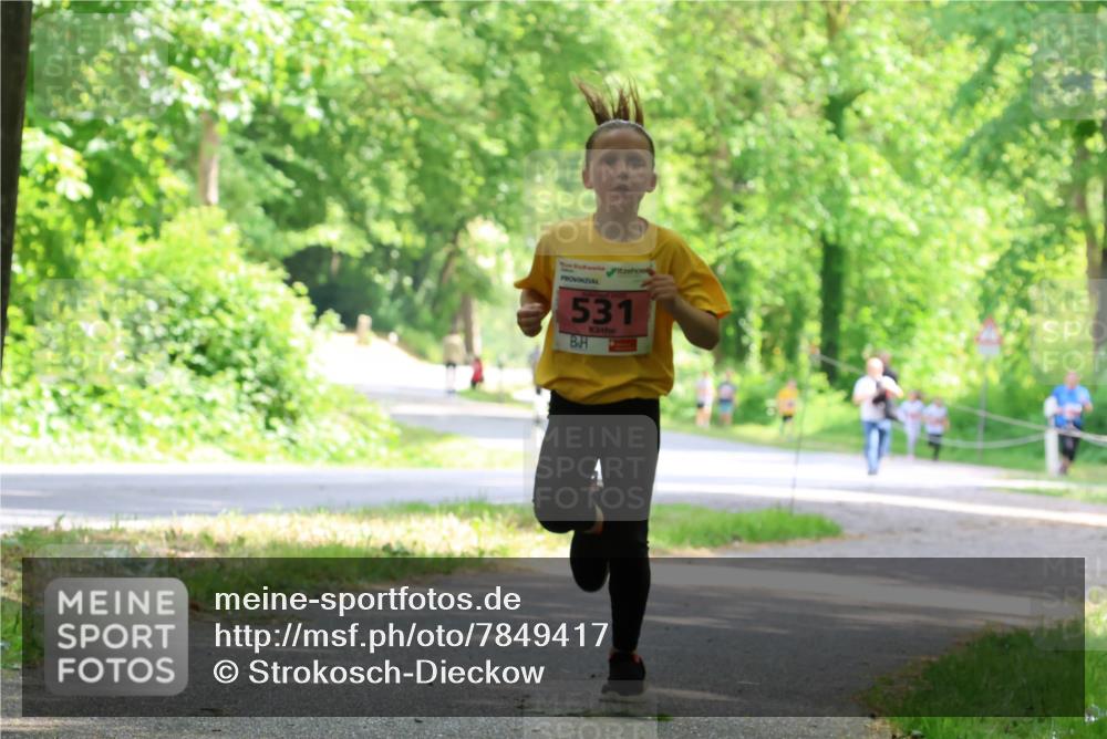 17.05.2025 - Störlauf Strokosch-Dieckow http://msf.ph/oto/7849417 17.05.2025 13:54:34 Laufen 531 meine-sportfotos.de
