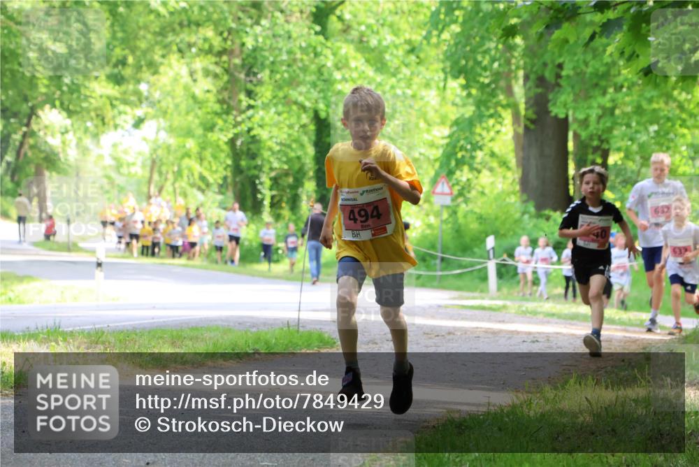17.05.2025 - Störlauf Strokosch-Dieckow http://msf.ph/oto/7849429 17.05.2025 13:54:39 Laufen 494, 40, 632, 637 meine-sportfotos.de