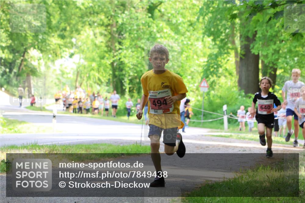 17.05.2025 - Störlauf Strokosch-Dieckow http://msf.ph/oto/7849438 17.05.2025 13:54:39 Laufen 2025, 494, 640, 632 meine-sportfotos.de