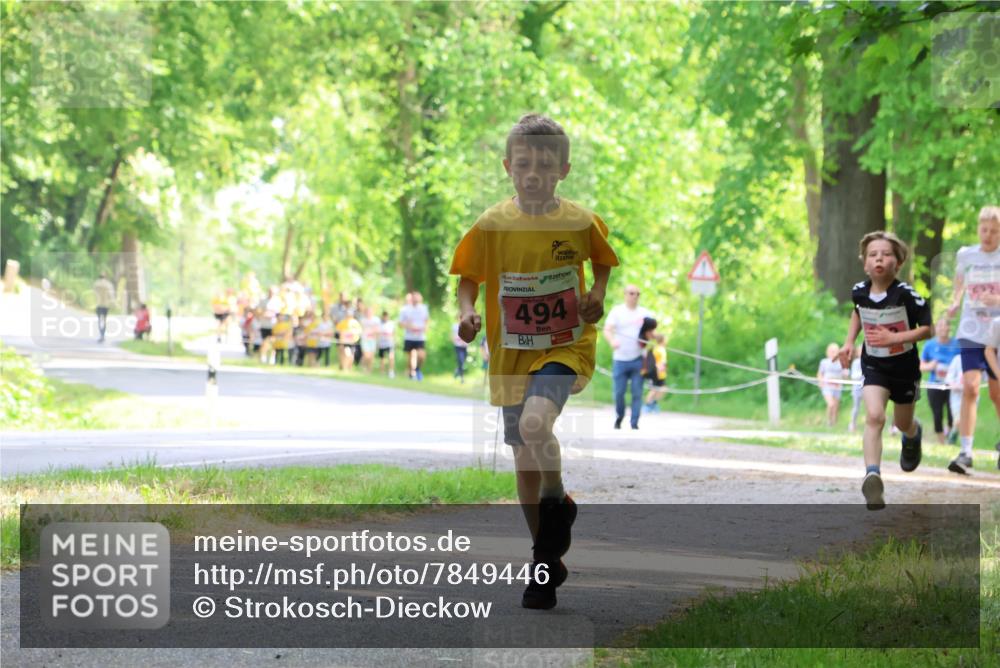 17.05.2025 - Störlauf Strokosch-Dieckow http://msf.ph/oto/7849446 17.05.2025 13:54:39 Laufen 494 meine-sportfotos.de