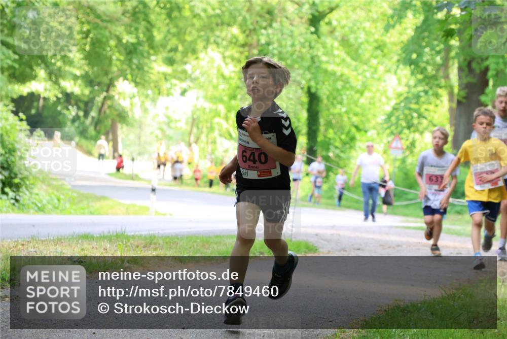 17.05.2025 - Störlauf Strokosch-Dieckow http://msf.ph/oto/7849460 17.05.2025 13:54:42 Laufen 202, 640, 633 meine-sportfotos.de