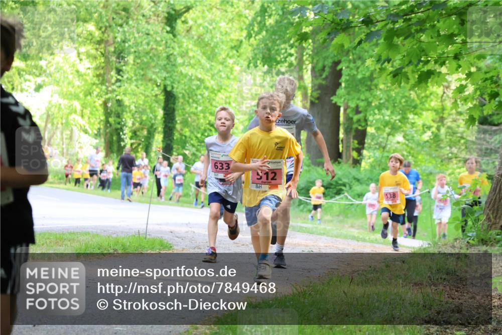 17.05.2025 - Störlauf Strokosch-Dieckow http://msf.ph/oto/7849468 17.05.2025 13:54:44 Laufen 633, 12, 538 meine-sportfotos.de