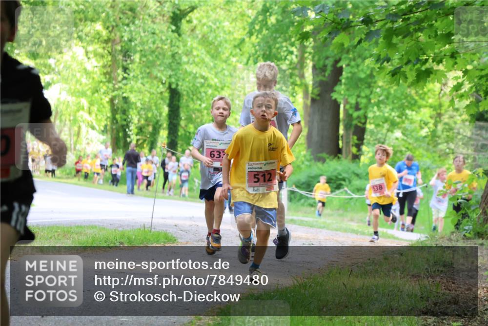 17.05.2025 - Störlauf Strokosch-Dieckow http://msf.ph/oto/7849480 17.05.2025 13:54:44 Laufen 1111, 633, 512, 138 meine-sportfotos.de