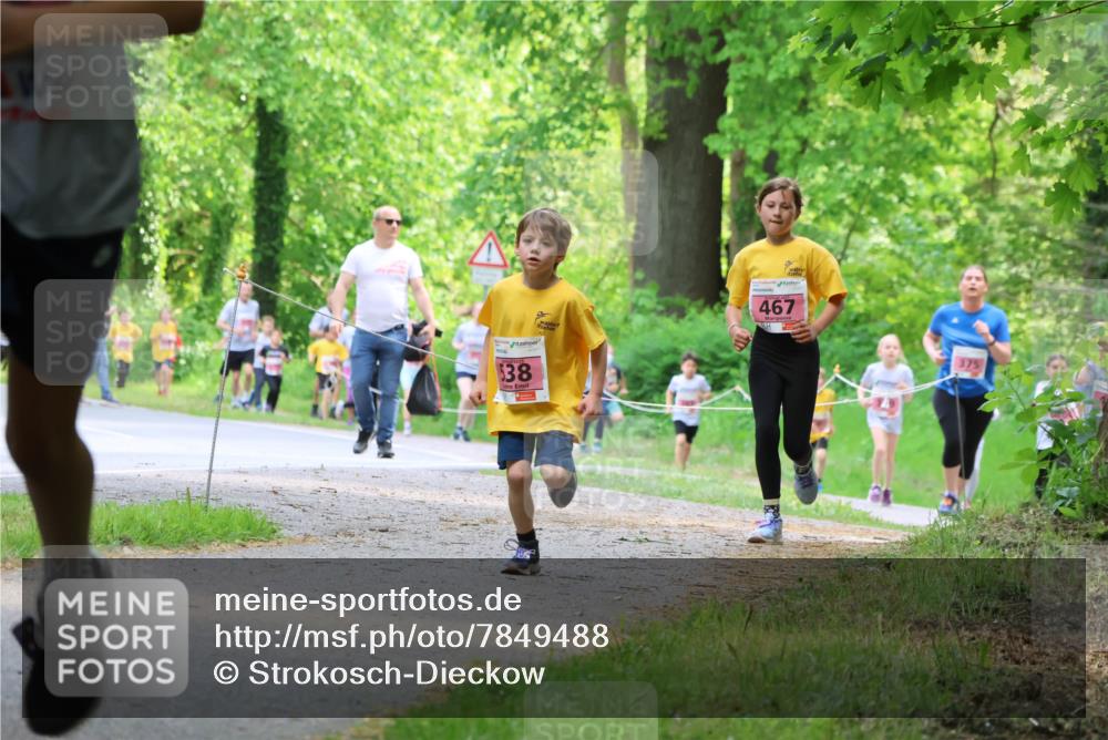 17.05.2025 - Störlauf Strokosch-Dieckow http://msf.ph/oto/7849488 17.05.2025 13:54:47 Laufen 38, 467 meine-sportfotos.de