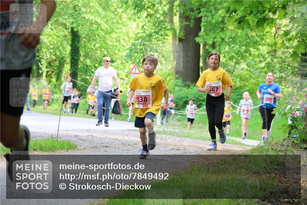 17.05.2025 - Störlauf Strokosch-Dieckow http://msf.ph/oto/7849492 17.05.2025 13:54:47 Laufen 538, 5, 67, 375 meine-sportfotos.de