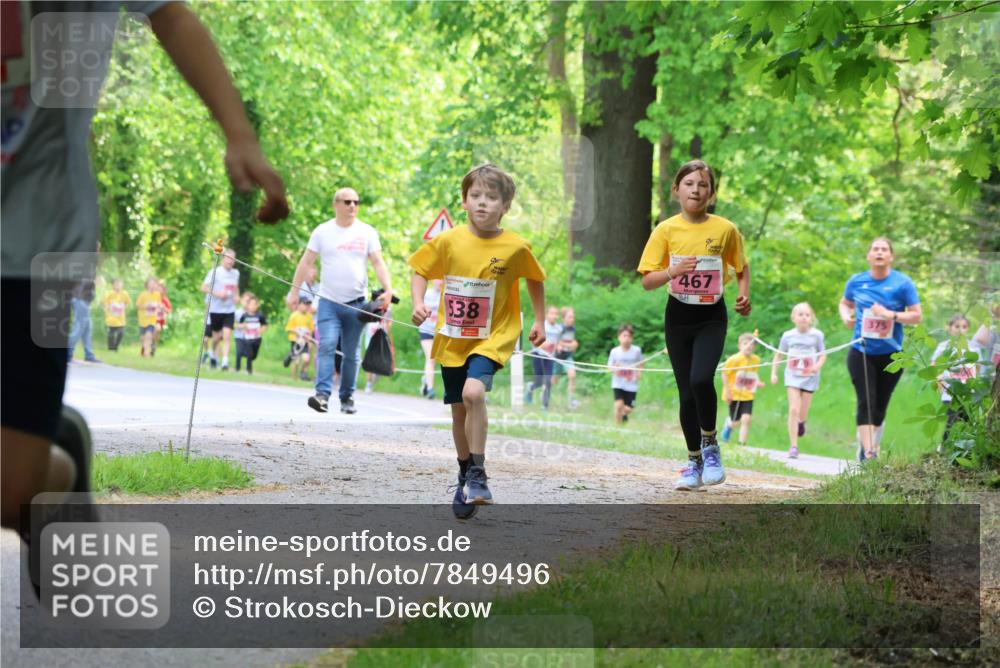 17.05.2025 - Störlauf Strokosch-Dieckow http://msf.ph/oto/7849496 17.05.2025 13:54:48 Laufen 538, 467 meine-sportfotos.de