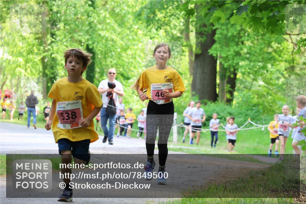 17.05.2025 - Störlauf Strokosch-Dieckow http://msf.ph/oto/7849500 17.05.2025 13:54:50 Laufen 538, 46 meine-sportfotos.de