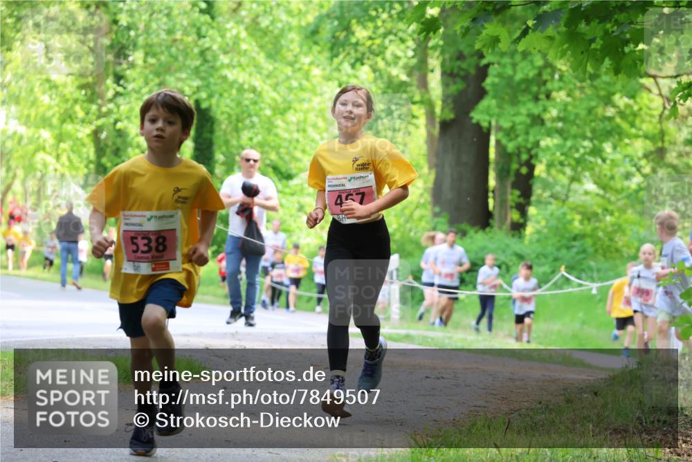 17.05.2025 - Störlauf Strokosch-Dieckow http://msf.ph/oto/7849507 17.05.2025 13:54:50 Laufen 538, 457 meine-sportfotos.de