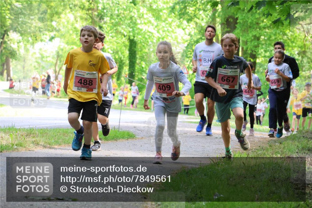 17.05.2025 - Störlauf Strokosch-Dieckow http://msf.ph/oto/7849561 17.05.2025 13:55:07 Laufen 488, 409, 67, 667, 445, 669 meine-sportfotos.de