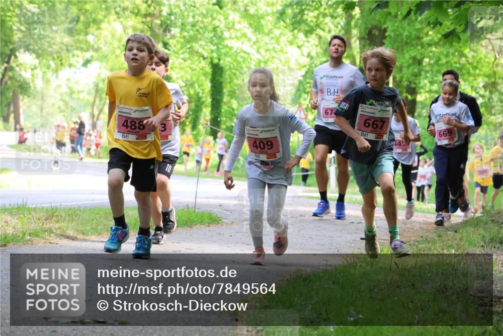 17.05.2025 - Störlauf Strokosch-Dieckow http://msf.ph/oto/7849564 17.05.2025 13:55:07 Laufen 2025, 4883, 10, 409, 67, 667, 669 meine-sportfotos.de