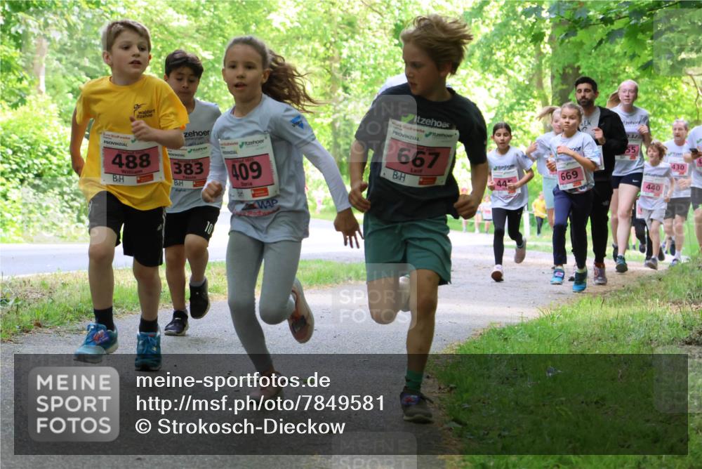17.05.2025 - Störlauf Strokosch-Dieckow http://msf.ph/oto/7849581 17.05.2025 13:55:09 Laufen 55, 488, 3, 383, 409, 667, 445, 669, 10, 440, 430 meine-sportfotos.de