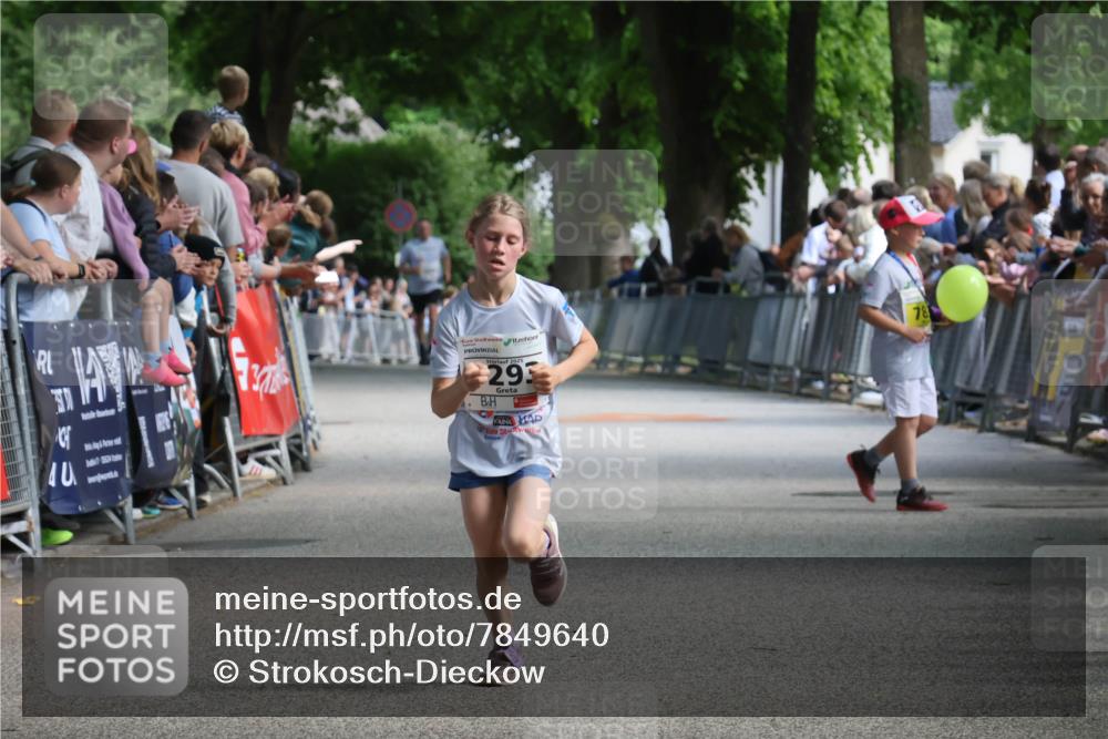 17.05.2025 - Störlauf Strokosch-Dieckow http://msf.ph/oto/7849640 17.05.2025 14:38:08 Ziel 40, 2025, 293, 78 meine-sportfotos.de