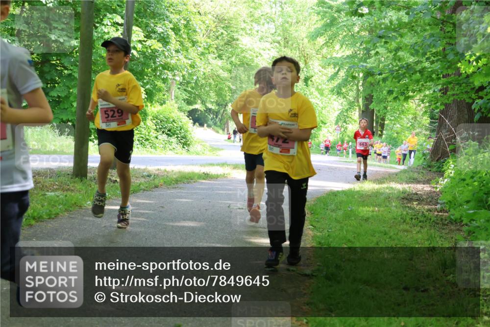 17.05.2025 - Störlauf Strokosch-Dieckow http://msf.ph/oto/7849645 17.05.2025 13:55:21 Laufen 529, 663 meine-sportfotos.de