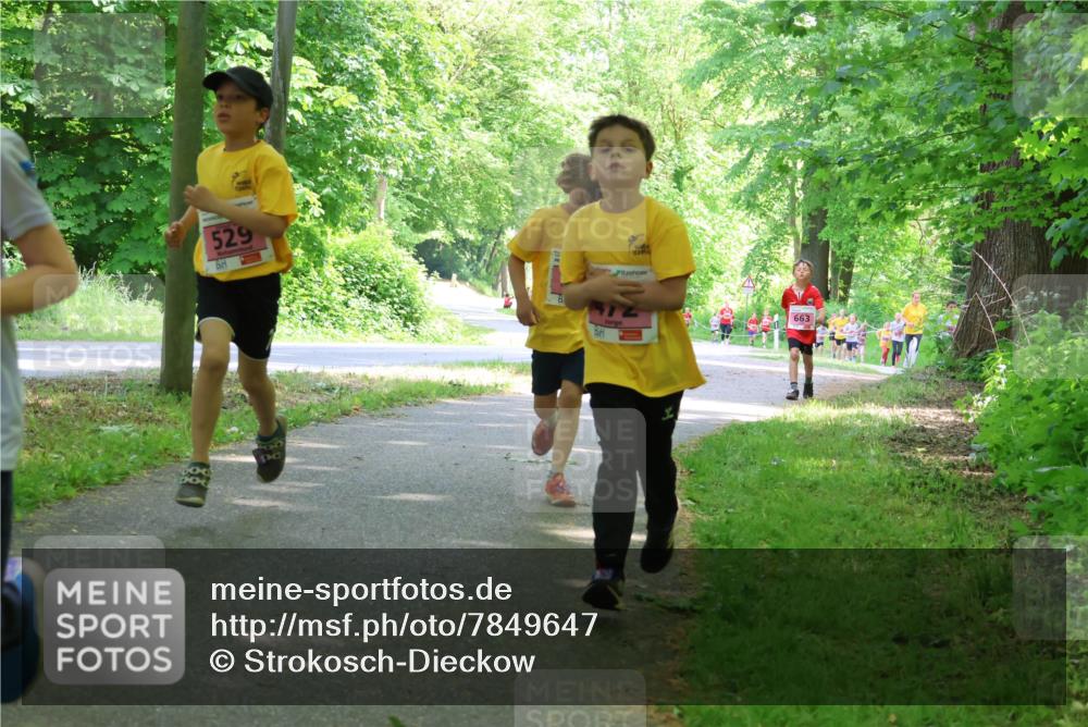 17.05.2025 - Störlauf Strokosch-Dieckow http://msf.ph/oto/7849647 17.05.2025 13:55:21 Laufen 529, 663 meine-sportfotos.de
