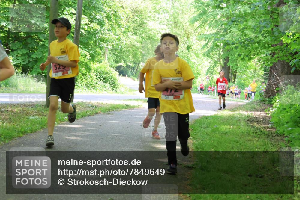 17.05.2025 - Störlauf Strokosch-Dieckow http://msf.ph/oto/7849649 17.05.2025 13:55:21 Laufen 525, 412, 663 meine-sportfotos.de