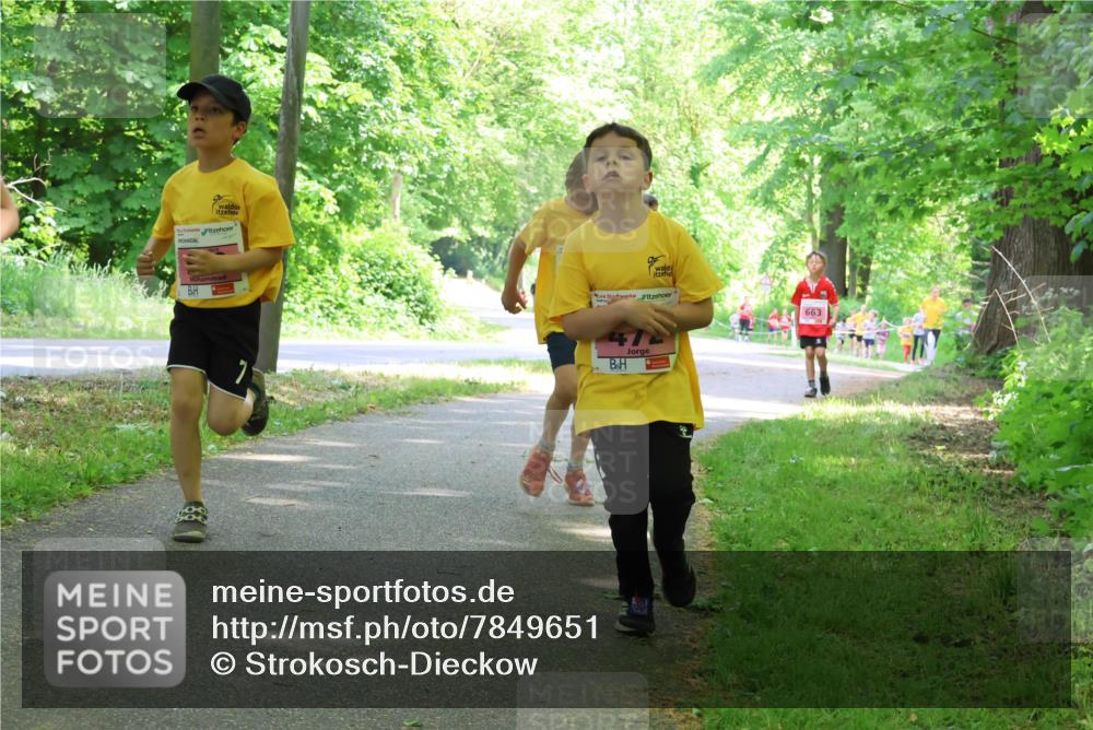 17.05.2025 - Störlauf Strokosch-Dieckow http://msf.ph/oto/7849651 17.05.2025 13:55:21 Laufen 663, 47 meine-sportfotos.de