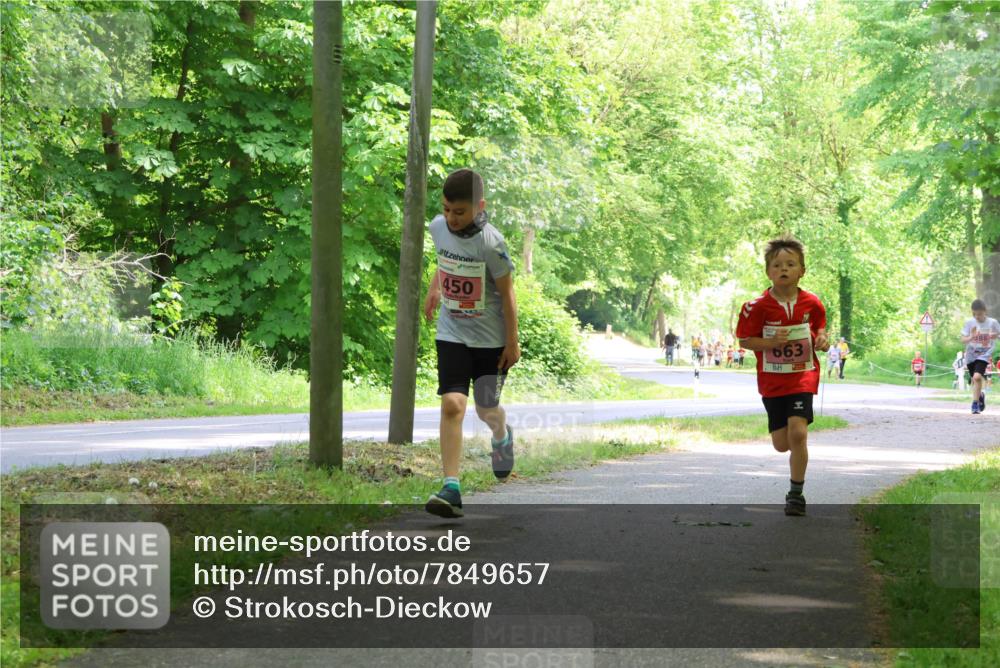 17.05.2025 - Störlauf Strokosch-Dieckow http://msf.ph/oto/7849657 17.05.2025 13:55:25 Laufen 450, 663 meine-sportfotos.de