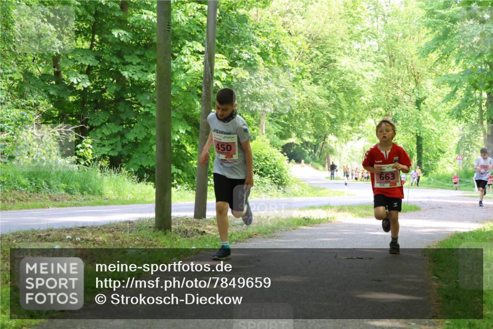 17.05.2025 - Störlauf Strokosch-Dieckow http://msf.ph/oto/7849659 17.05.2025 13:55:25 Laufen 450, 663, 386 meine-sportfotos.de