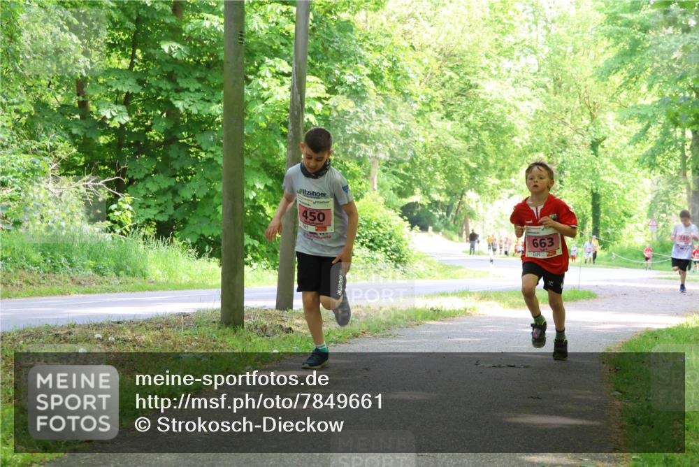 17.05.2025 - Störlauf Strokosch-Dieckow http://msf.ph/oto/7849661 17.05.2025 13:55:25 Laufen 450, 663, 386 meine-sportfotos.de