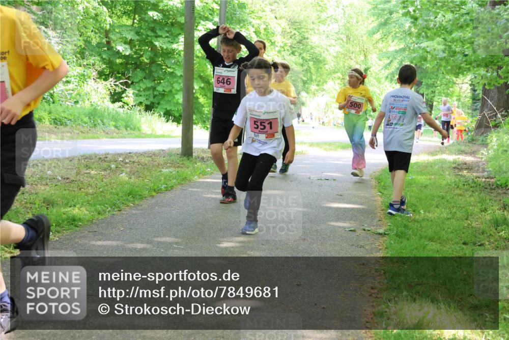 17.05.2025 - Störlauf Strokosch-Dieckow http://msf.ph/oto/7849681 17.05.2025 13:55:33 Laufen 646, 551, 500, 25 meine-sportfotos.de