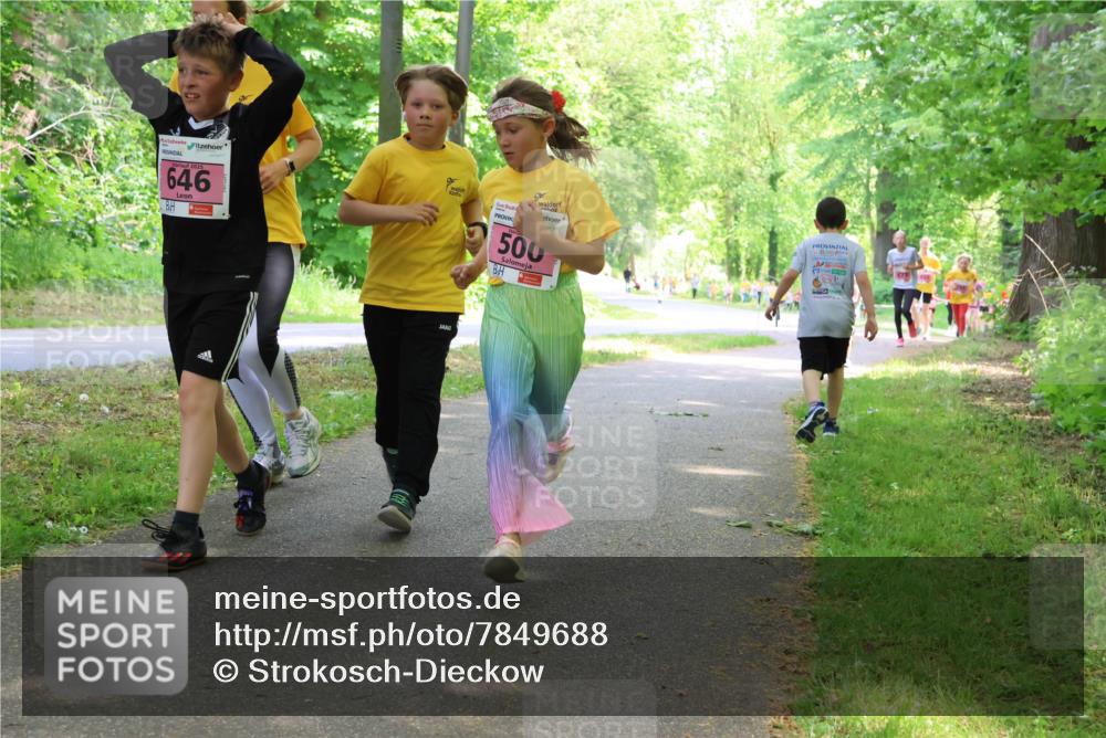 17.05.2025 - Störlauf Strokosch-Dieckow http://msf.ph/oto/7849688 17.05.2025 13:55:35 Laufen 646, 500 meine-sportfotos.de