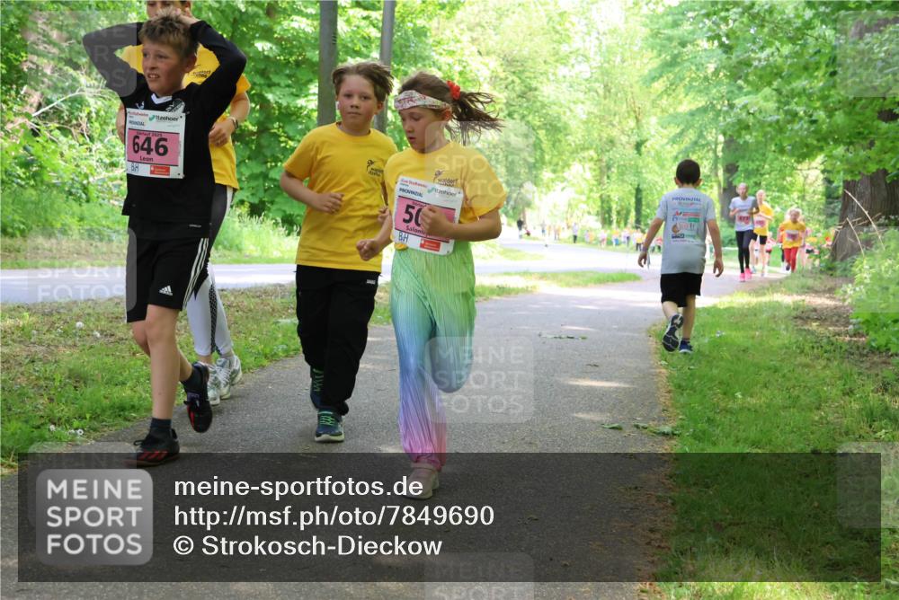 17.05.2025 - Störlauf Strokosch-Dieckow http://msf.ph/oto/7849690 17.05.2025 13:55:35 Laufen 646, 50, 15100 meine-sportfotos.de