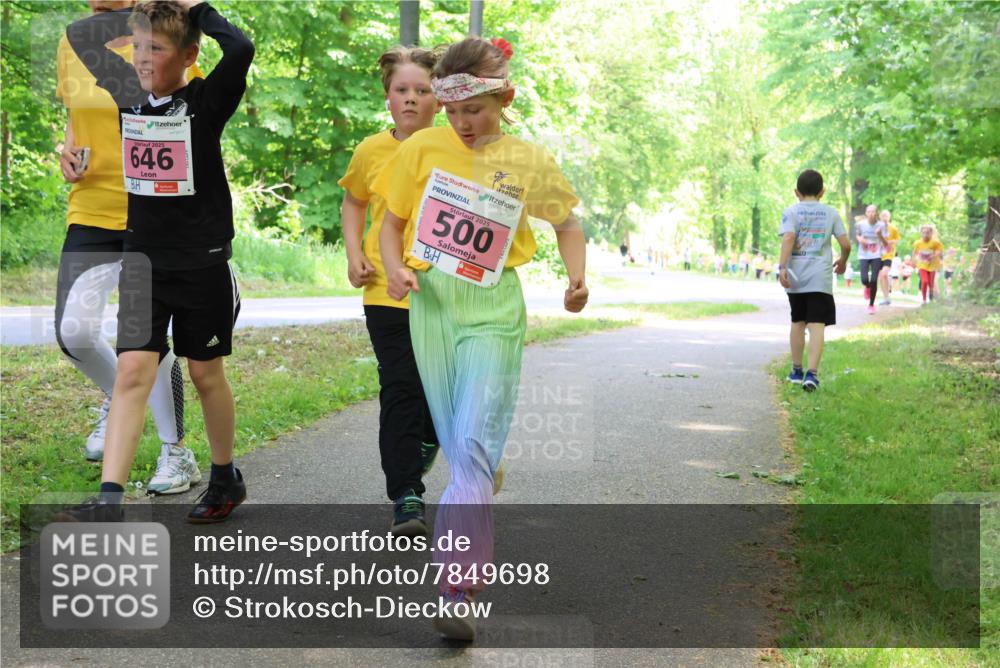 17.05.2025 - Störlauf Strokosch-Dieckow http://msf.ph/oto/7849698 17.05.2025 13:55:35 Laufen 646, 2025, 500 meine-sportfotos.de