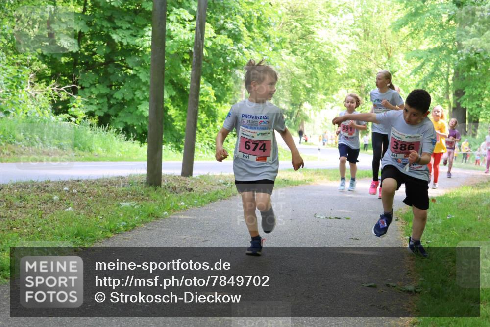 17.05.2025 - Störlauf Strokosch-Dieckow http://msf.ph/oto/7849702 17.05.2025 13:55:39 Laufen 25, 674, 391, 386 meine-sportfotos.de