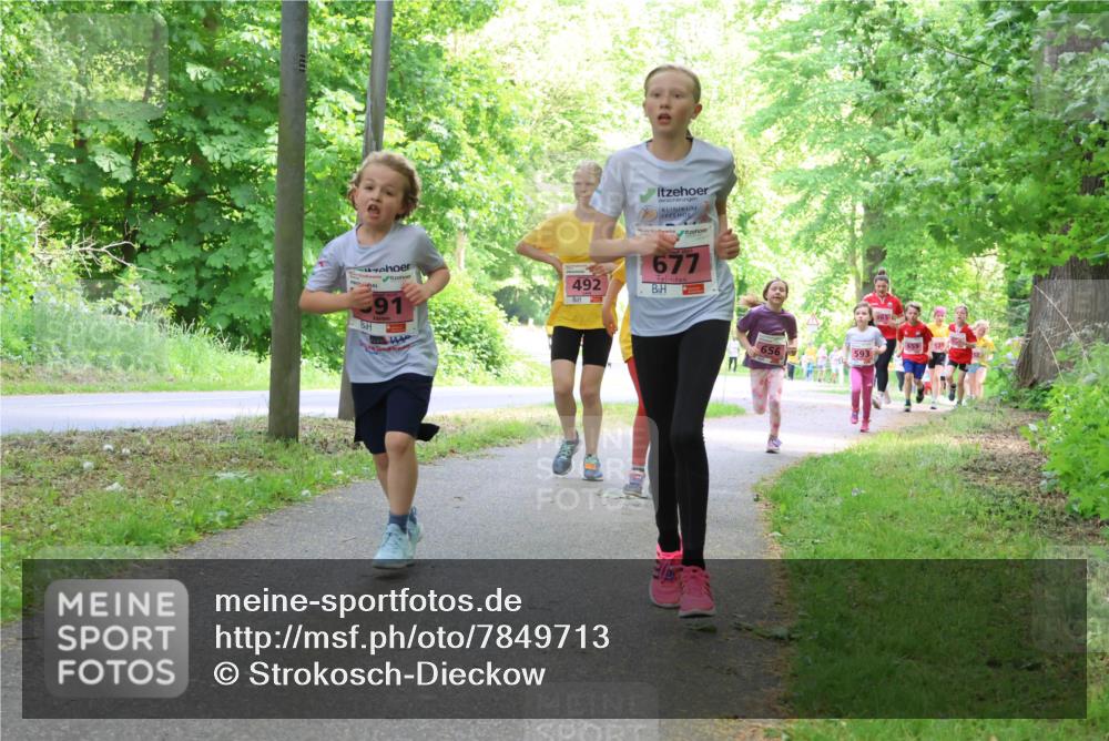17.05.2025 - Störlauf Strokosch-Dieckow http://msf.ph/oto/7849713 17.05.2025 13:55:42 Laufen 91, 144, 492, 677, 656, 593, 65 meine-sportfotos.de