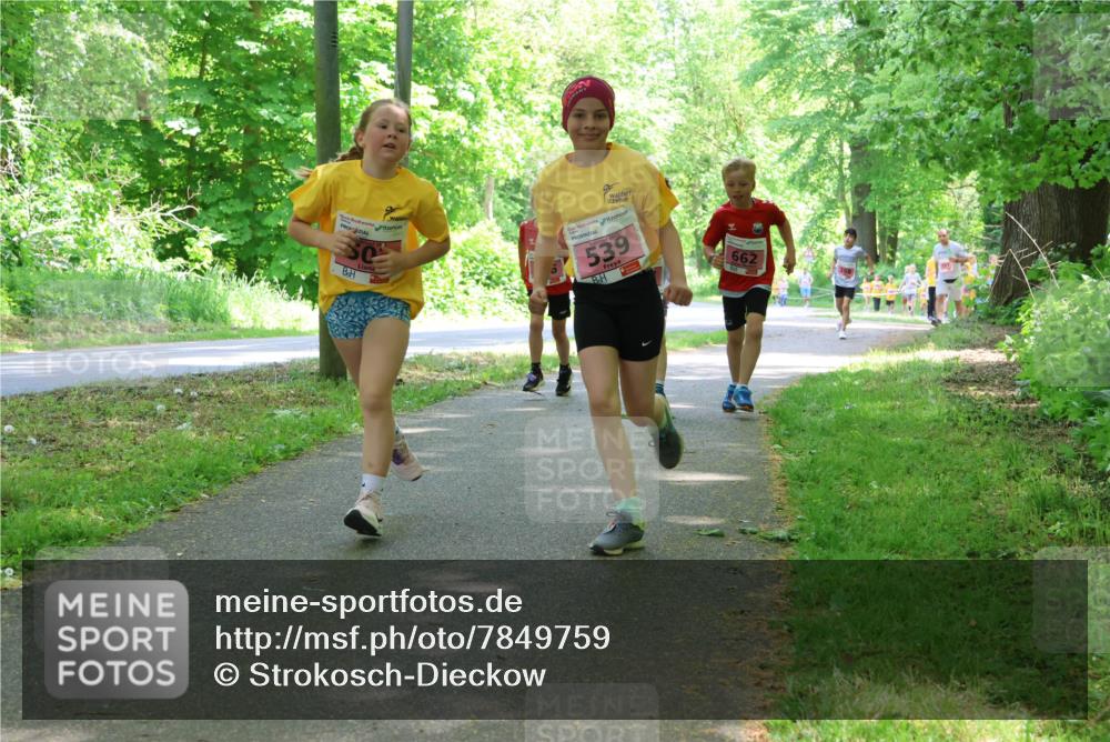 17.05.2025 - Störlauf Strokosch-Dieckow http://msf.ph/oto/7849759 17.05.2025 13:55:53 Laufen 539, 662 meine-sportfotos.de