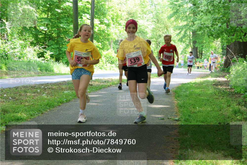 17.05.2025 - Störlauf Strokosch-Dieckow http://msf.ph/oto/7849760 17.05.2025 13:55:53 Laufen 5, 539, 662 meine-sportfotos.de