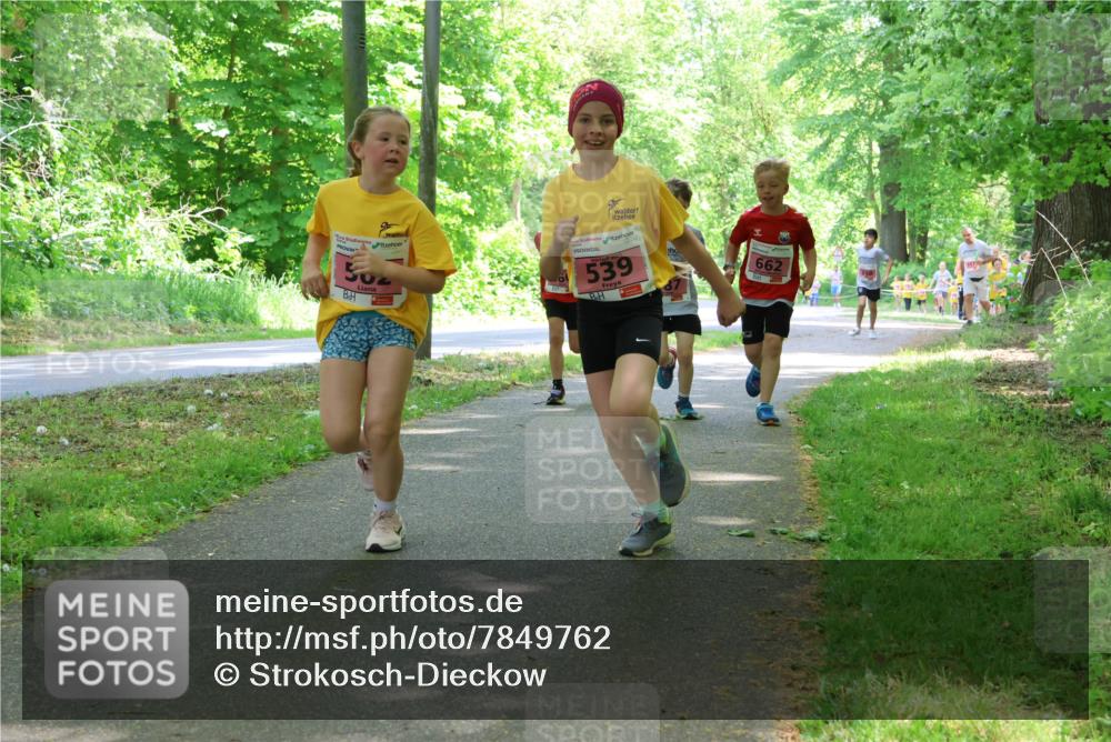 17.05.2025 - Störlauf Strokosch-Dieckow http://msf.ph/oto/7849762 17.05.2025 13:55:53 Laufen 50, 539, 662 meine-sportfotos.de
