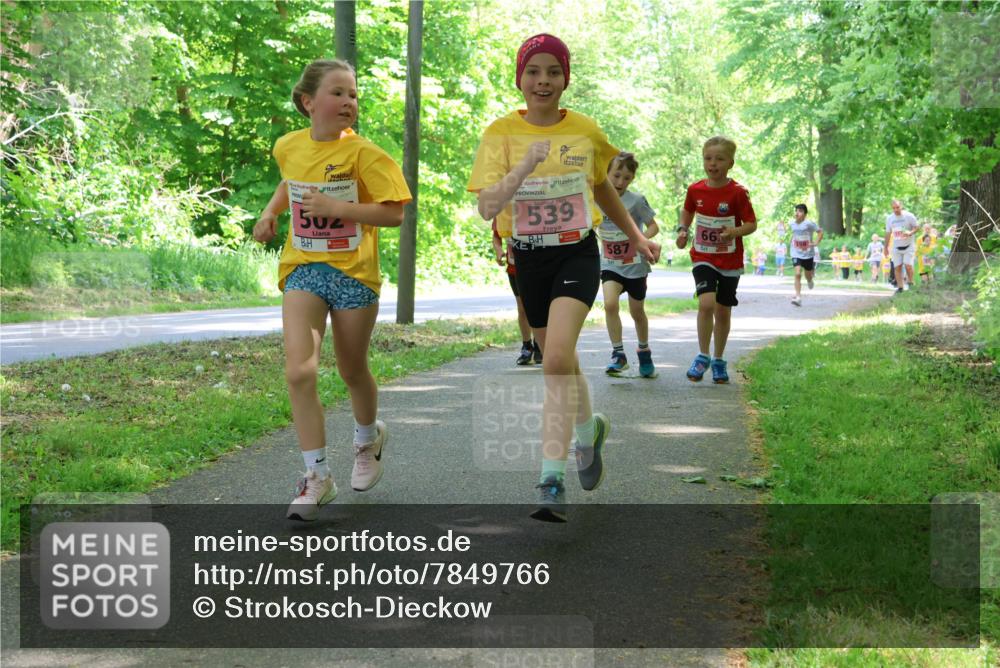 17.05.2025 - Störlauf Strokosch-Dieckow http://msf.ph/oto/7849766 17.05.2025 13:55:53 Laufen 502, 2021, 539, 587, 66 meine-sportfotos.de