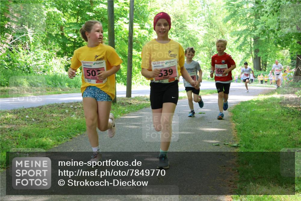 17.05.2025 - Störlauf Strokosch-Dieckow http://msf.ph/oto/7849770 17.05.2025 13:55:53 Laufen 2025, 50, 539, 667 meine-sportfotos.de
