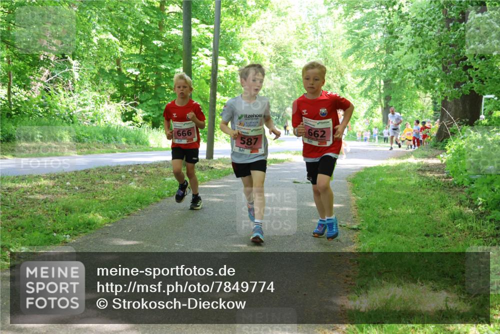 17.05.2025 - Störlauf Strokosch-Dieckow http://msf.ph/oto/7849774 17.05.2025 13:55:54 Laufen 662, 666, 587 meine-sportfotos.de