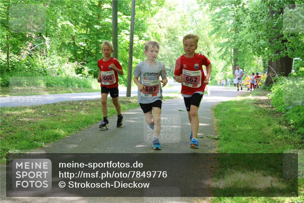 17.05.2025 - Störlauf Strokosch-Dieckow http://msf.ph/oto/7849776 17.05.2025 13:55:55 Laufen 666, 587, 662 meine-sportfotos.de