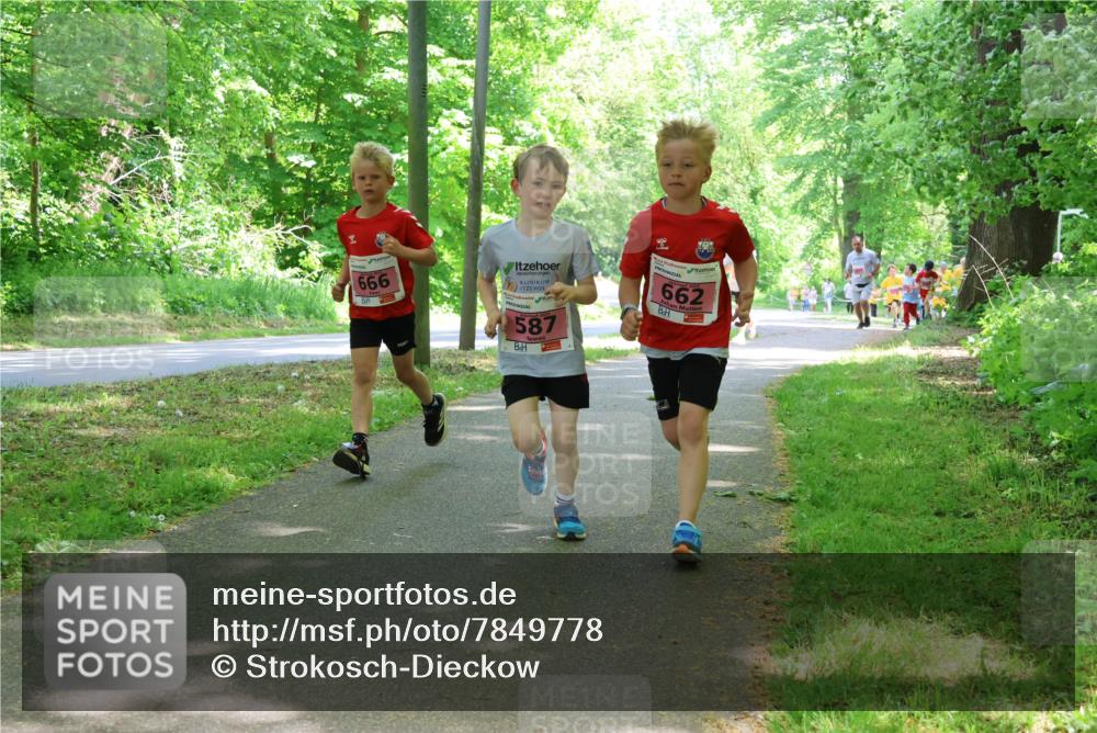 17.05.2025 - Störlauf Strokosch-Dieckow http://msf.ph/oto/7849778 17.05.2025 13:55:55 Laufen 666, 587, 662 meine-sportfotos.de