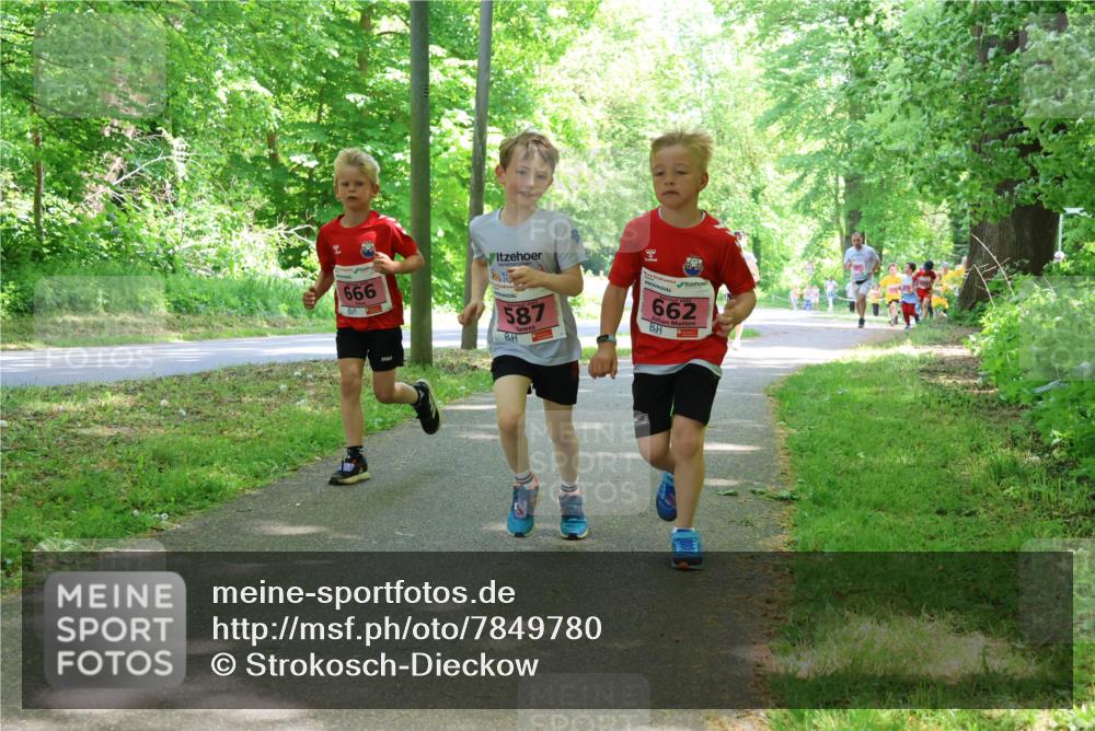 17.05.2025 - Störlauf Strokosch-Dieckow http://msf.ph/oto/7849780 17.05.2025 13:55:55 Laufen 666, 587, 2, 662 meine-sportfotos.de