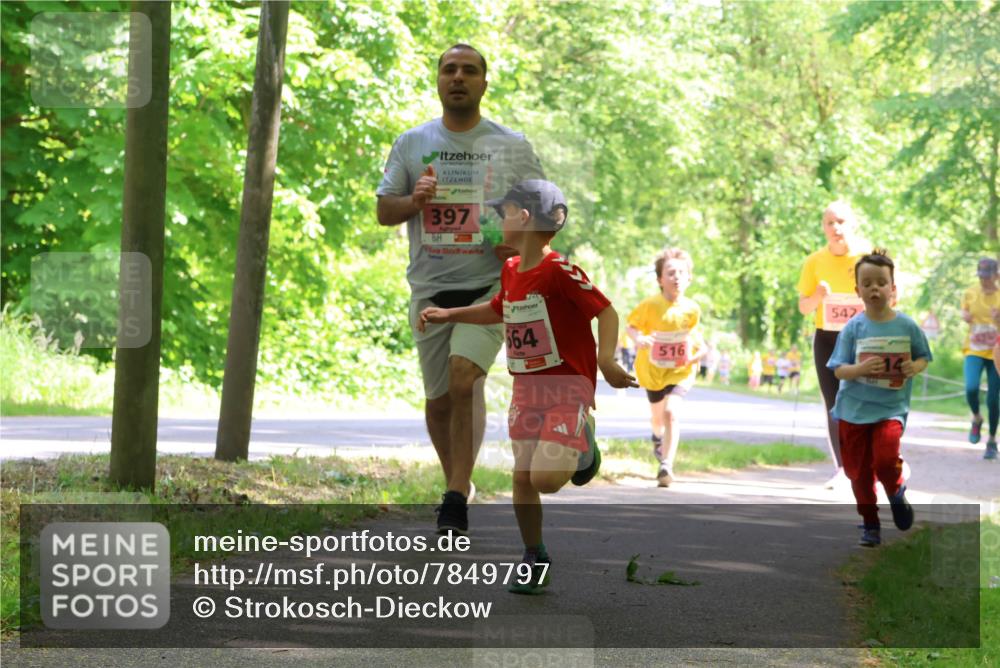 17.05.2025 - Störlauf Strokosch-Dieckow http://msf.ph/oto/7849797 17.05.2025 13:56:00 Laufen 397, 664, 516, 542, 14 meine-sportfotos.de