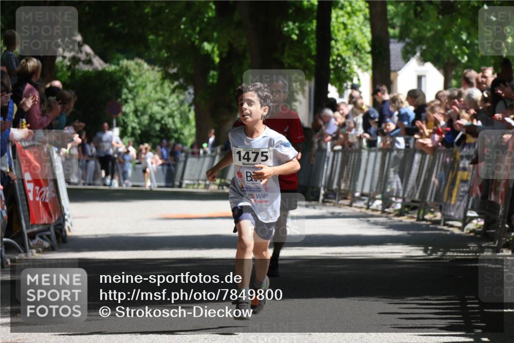 17.05.2025 - Störlauf Strokosch-Dieckow http://msf.ph/oto/7849800 17.05.2025 14:40:27 Ziel 2025, 1475 meine-sportfotos.de