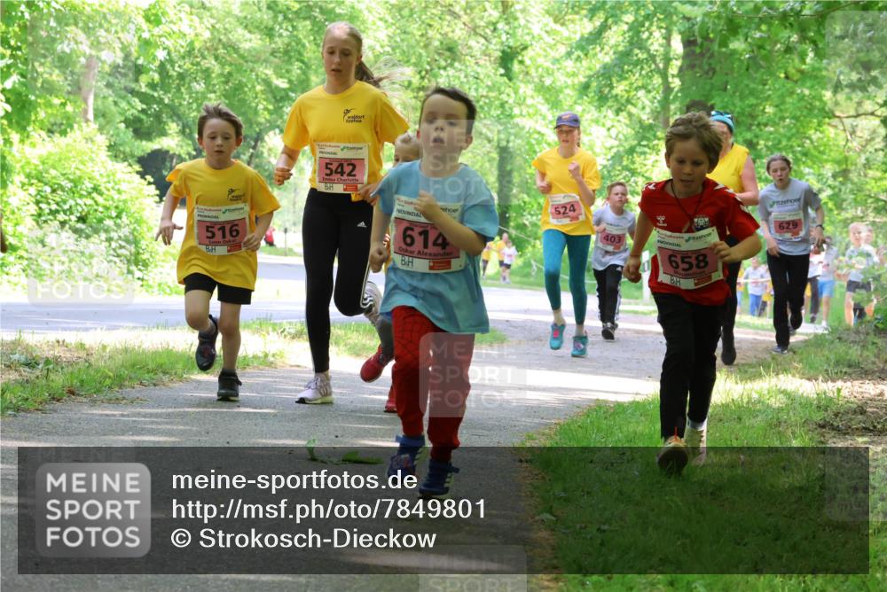 17.05.2025 - Störlauf Strokosch-Dieckow http://msf.ph/oto/7849801 17.05.2025 13:56:02 Laufen 516, 542, 524, 403, 20, 614, 9, 658, 629 meine-sportfotos.de