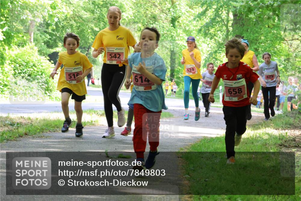 17.05.2025 - Störlauf Strokosch-Dieckow http://msf.ph/oto/7849803 17.05.2025 13:56:02 Laufen 515, 542, 614, 524, 403, 2025, 658, 629 meine-sportfotos.de