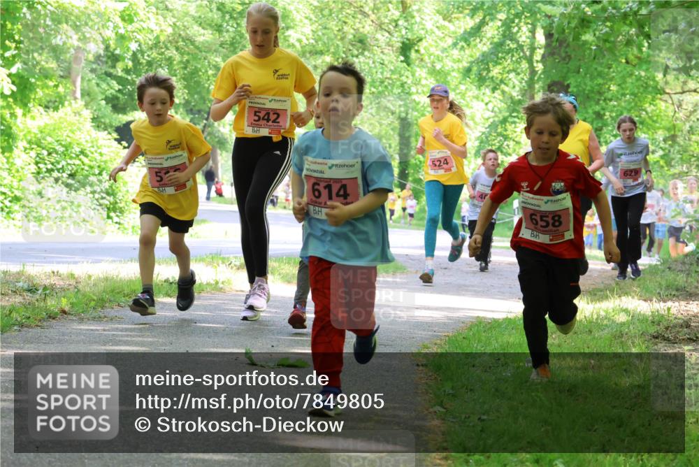 17.05.2025 - Störlauf Strokosch-Dieckow http://msf.ph/oto/7849805 17.05.2025 13:56:02 Laufen 52, 542, 614, 524, 658, 629 meine-sportfotos.de