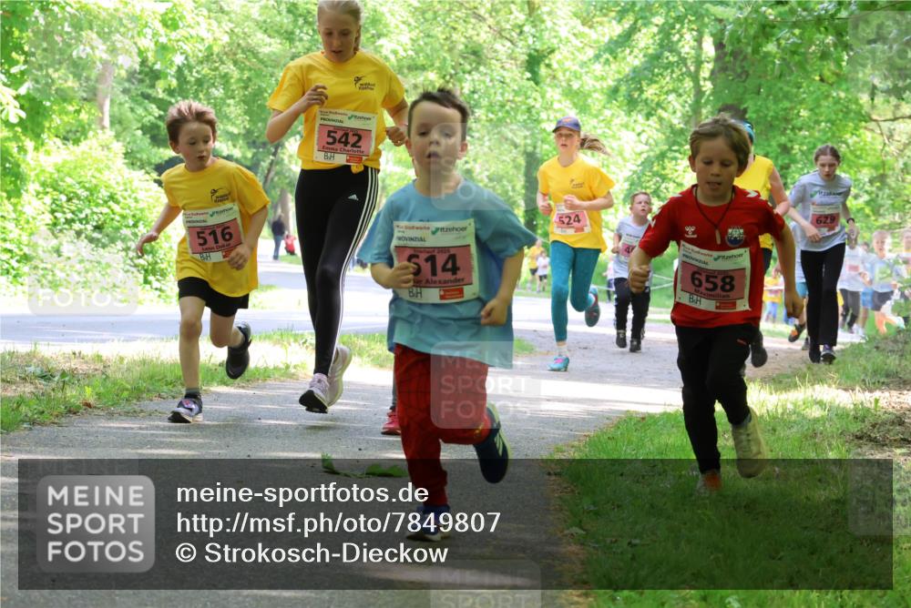 17.05.2025 - Störlauf Strokosch-Dieckow http://msf.ph/oto/7849807 17.05.2025 13:56:02 Laufen 516, 542, 2025, 14, 524, 90, 658, 629 meine-sportfotos.de