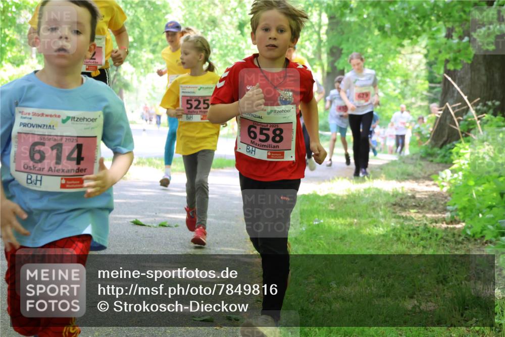 17.05.2025 - Störlauf Strokosch-Dieckow http://msf.ph/oto/7849816 17.05.2025 13:56:03 Laufen 2025, 614, 525, 2025, 658 meine-sportfotos.de