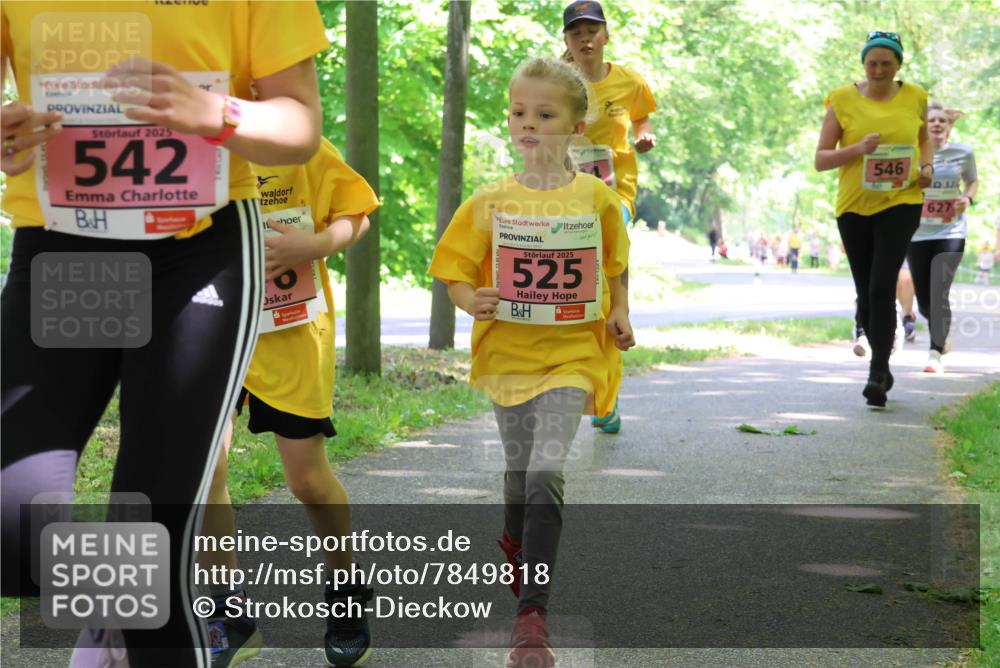 17.05.2025 - Störlauf Strokosch-Dieckow http://msf.ph/oto/7849818 17.05.2025 13:56:05 Laufen 2025, 542, 2025, 525, 546, 627 meine-sportfotos.de