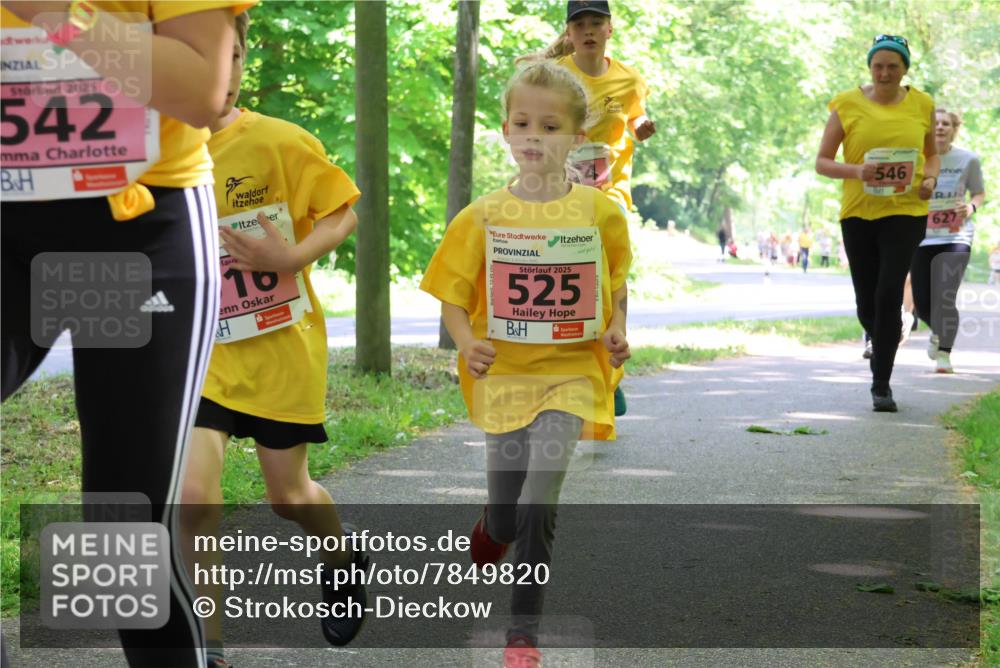 17.05.2025 - Störlauf Strokosch-Dieckow http://msf.ph/oto/7849820 17.05.2025 13:56:05 Laufen 2025, 542, 10, 2025, 525, 546, 627 meine-sportfotos.de